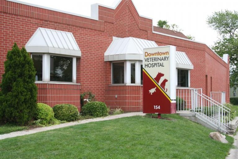 Veterinarian in Windsor, ON Full Service Vet Care Small Animal Hospital