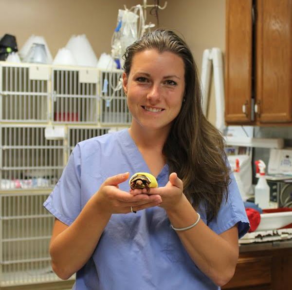 Team member Dr. Kate Sweetman holding a turtle